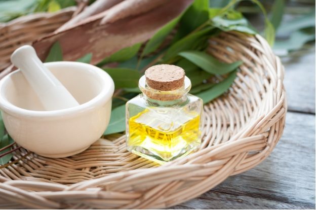 Click to enlarge Eucalyptus oil