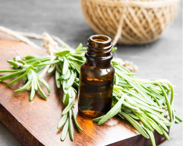 Click to enlarge Rosemary oil