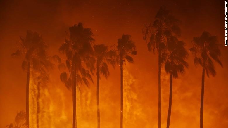 Thousands flee as winds whip California fires