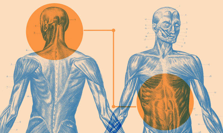 gut brain connection