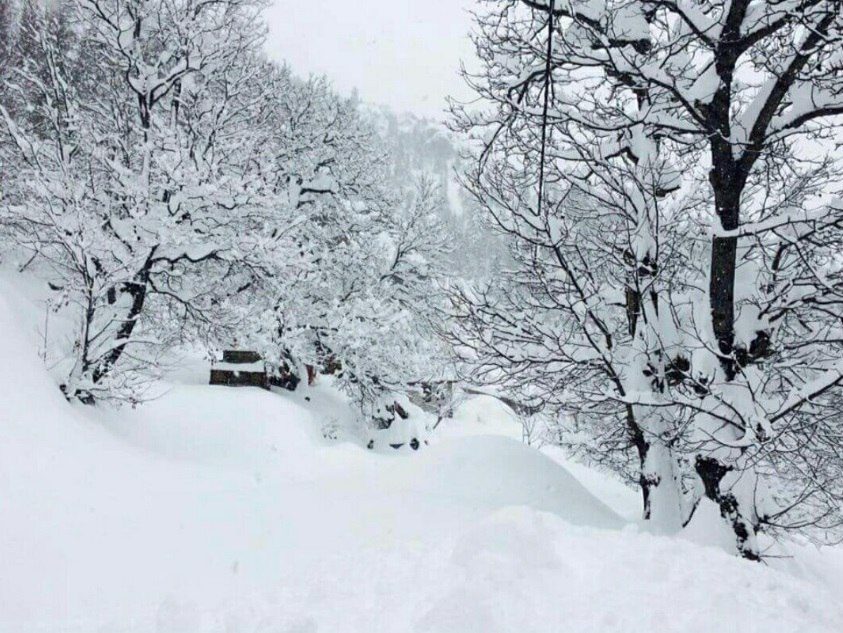 Click to enlarge snow-turkey-artvin-6.jpg