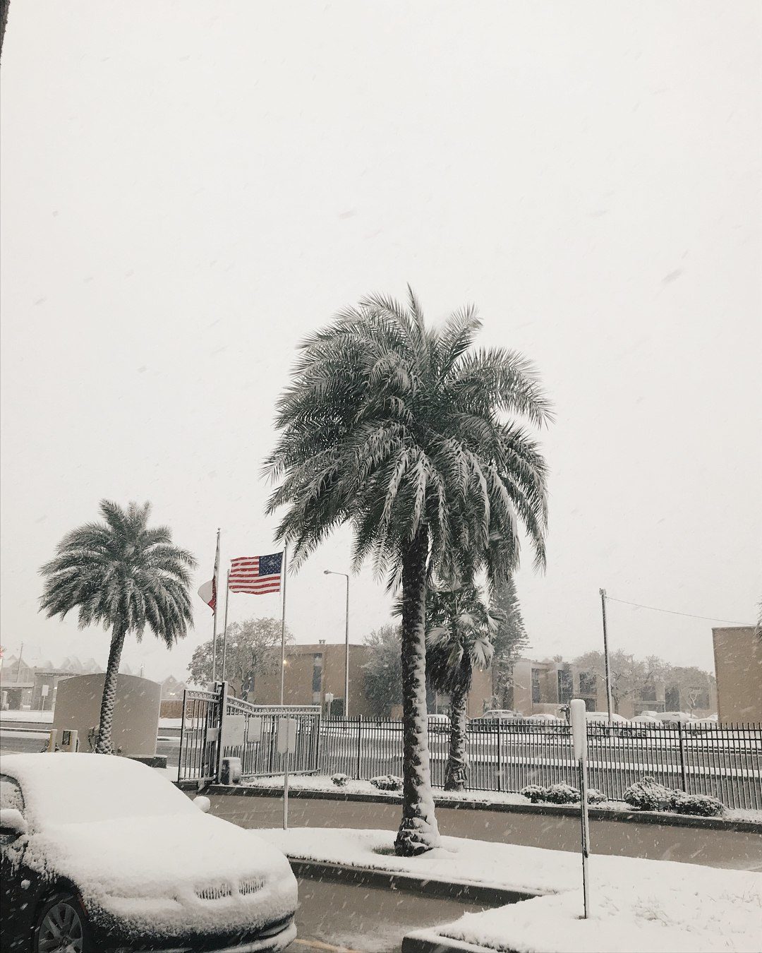 Snow covers Corpus Christi in Texas on December 8 2017. First time in 13 years. via