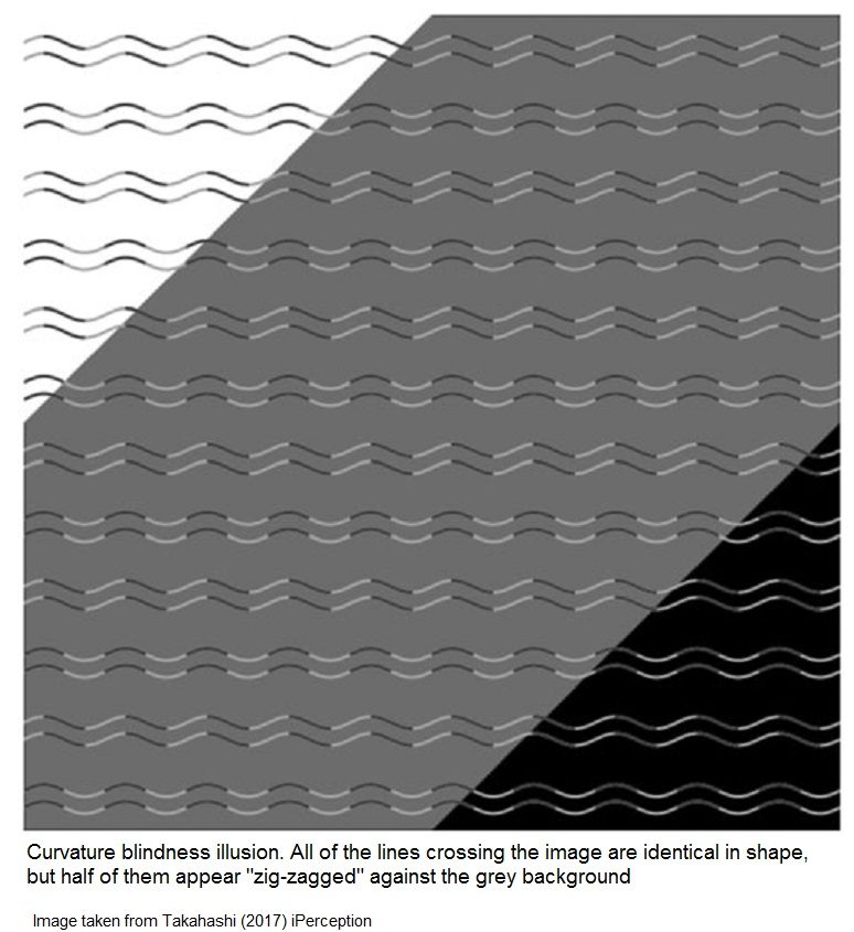 Click to enlarge Optical Illusion