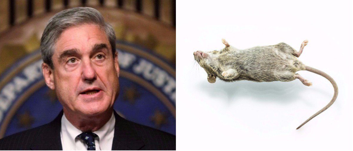 mueller investigation