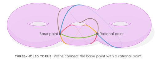 torus rational number symmetries