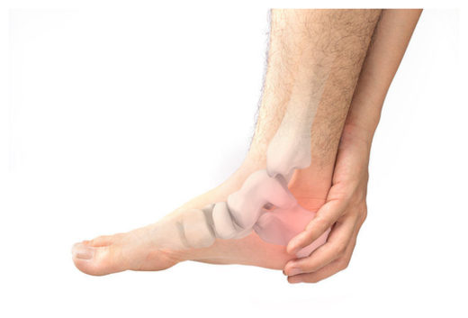 Human Foot