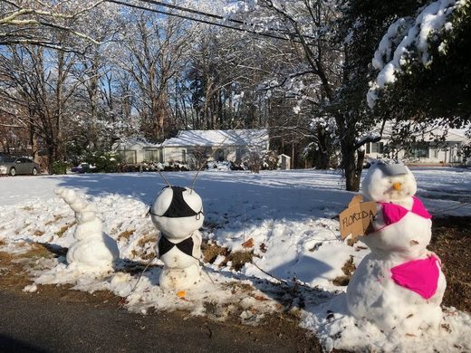 Click to enlarge Snow, Florida
