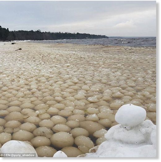 Click to enlarge The balls were up to seven in diameter