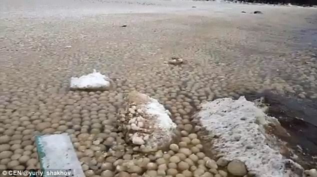 The strangely uniformly sized ice balls washed up in the Gulf of Finland