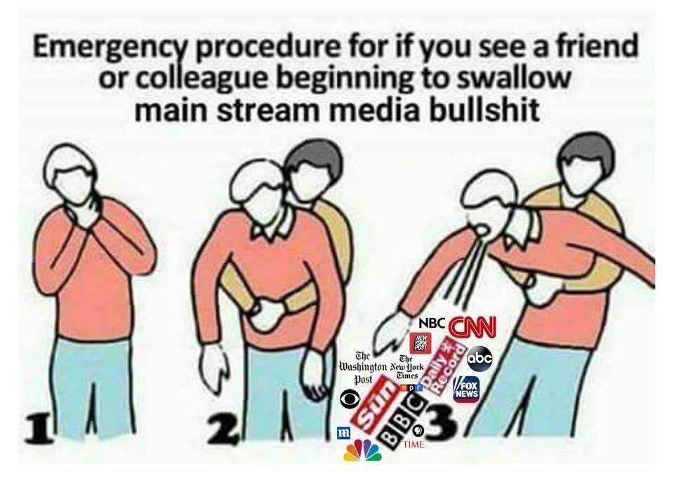 MSM BS