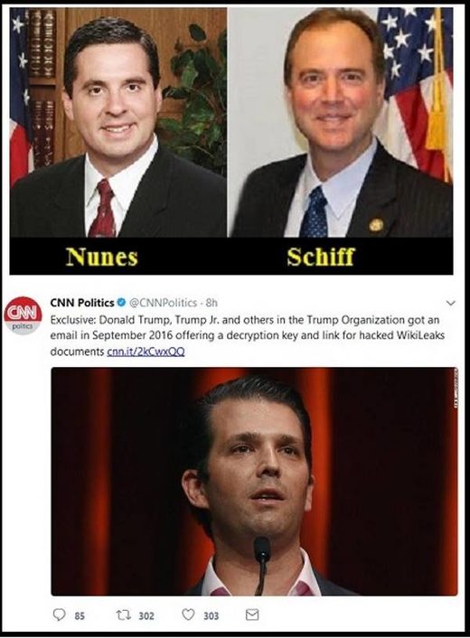 Click to enlarge Nunes Schiff FBI sting