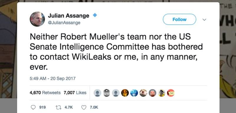 assange tweet Russiagate
