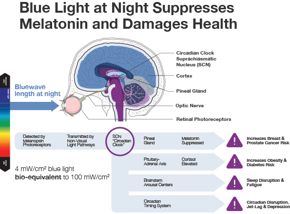 blue light melatonin