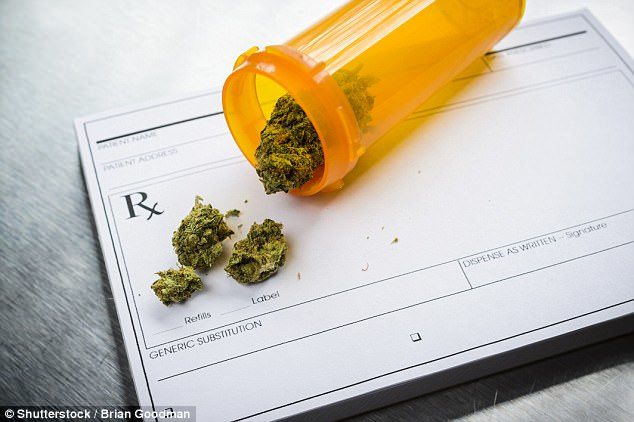 Click to enlarge cannabis