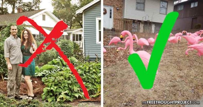 pink flamingo ban
