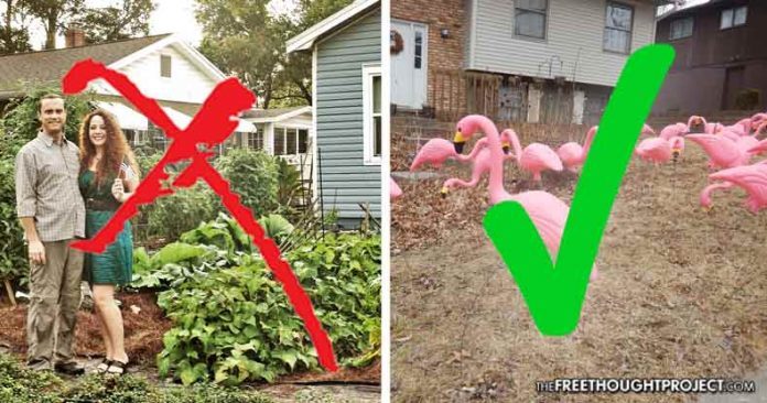 Click to enlarge pink flamingo ban
