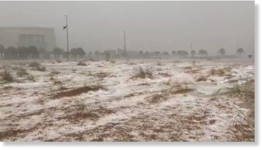 Hail cover