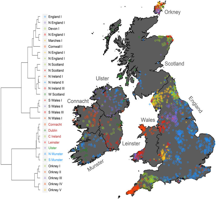 Click to enlarge ireland geneaology