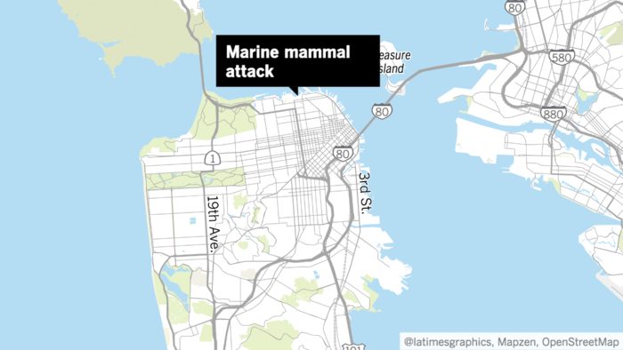 San Francisco marine mammal attack map