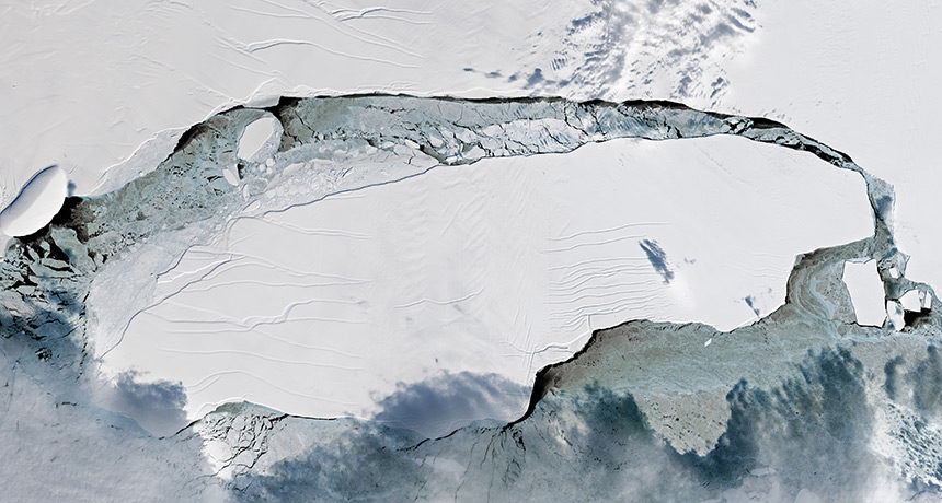 Larsen C ice shelf
