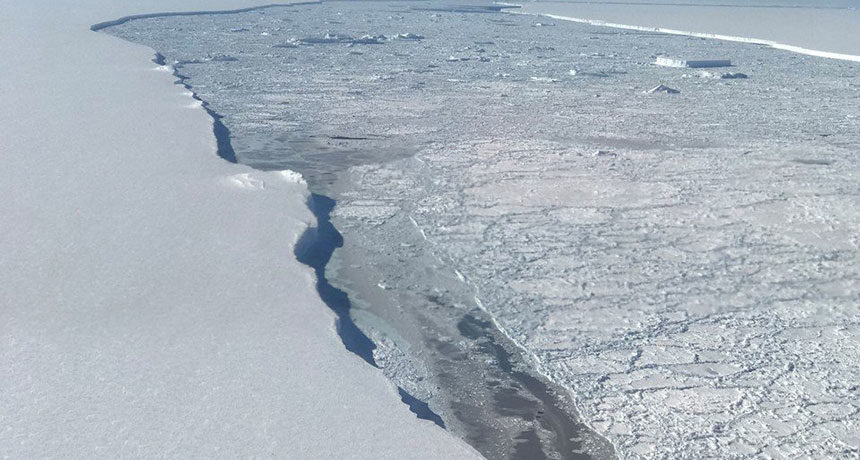 Click to enlarge Larsen C ice shelf