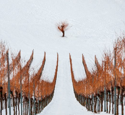 Click to enlarge Winter