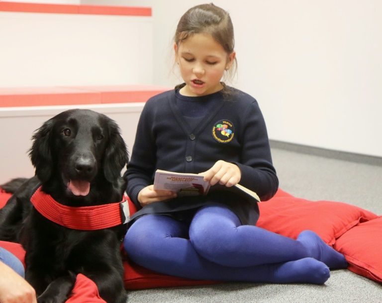 Click to enlarge therapy dog