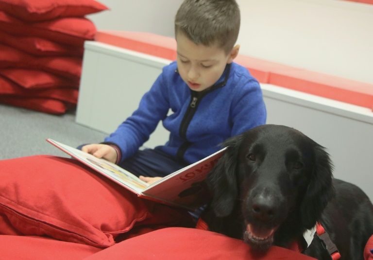 Click to enlarge Mona Therapy Dog