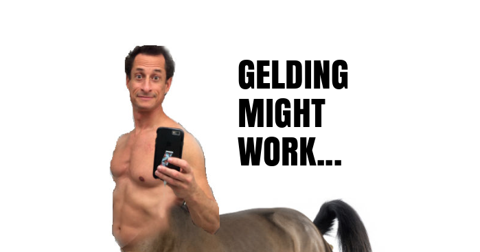 Anthony Weiner horse therapy