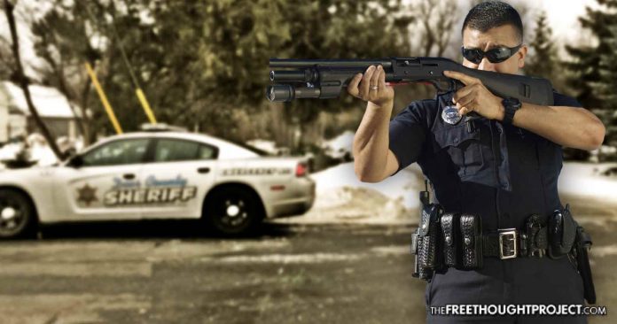 cops with gun