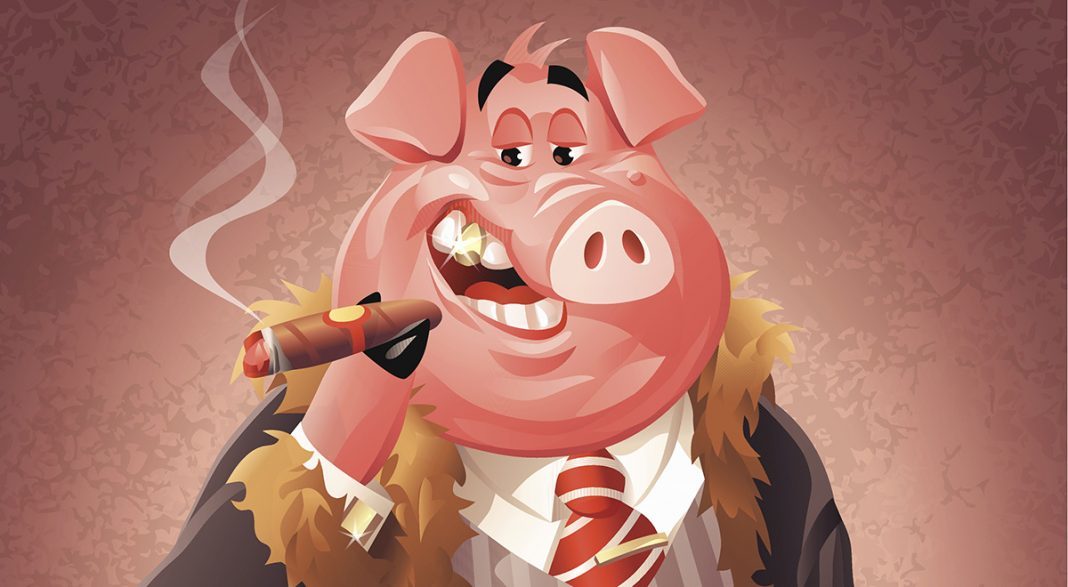 Click to enlarge Greedy Pig