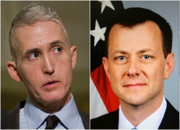 gowdy strzok