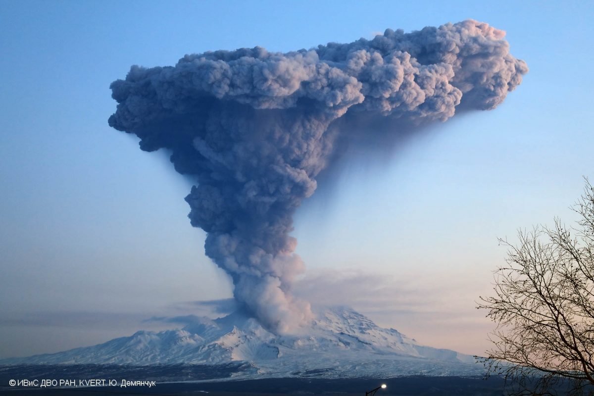 Click to enlarge Bezymianny eruption