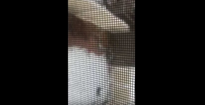 Strange sounds in Queens, NY
