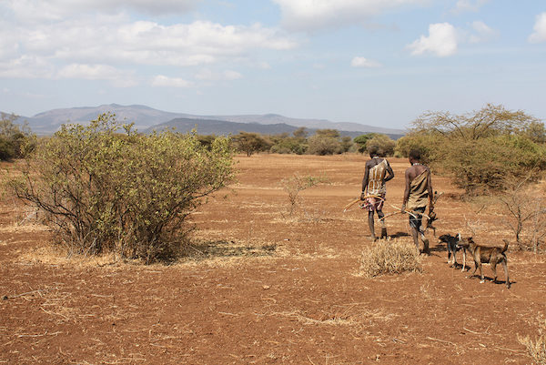 Click to enlarge Two Hadzabe men in Tanzania returning from a hunt.