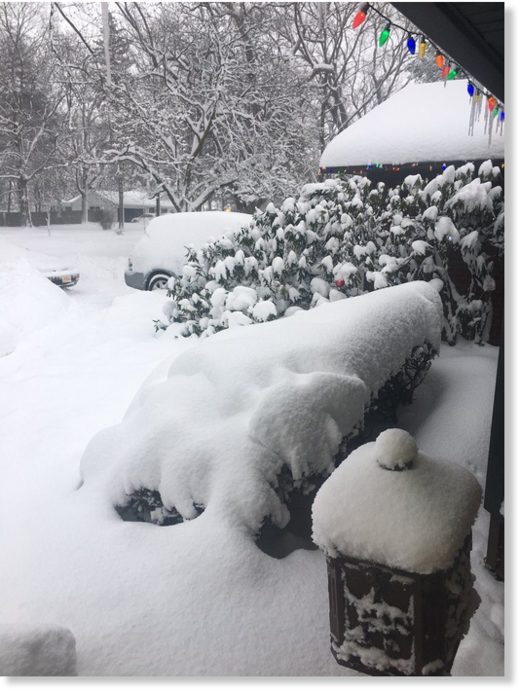 Record snowfall in Erie