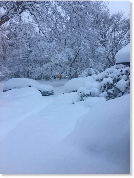 snow