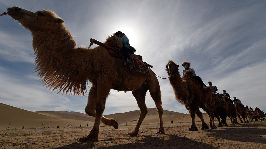 Click to enlarge camels silk road