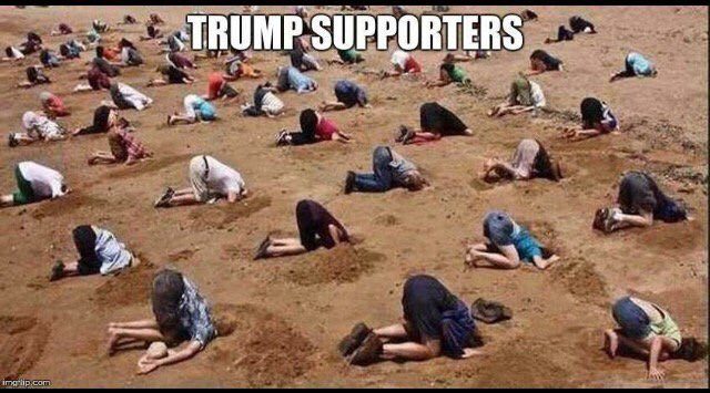 trump supporters heads in sand