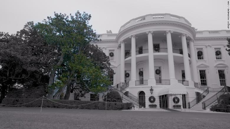 white house tree