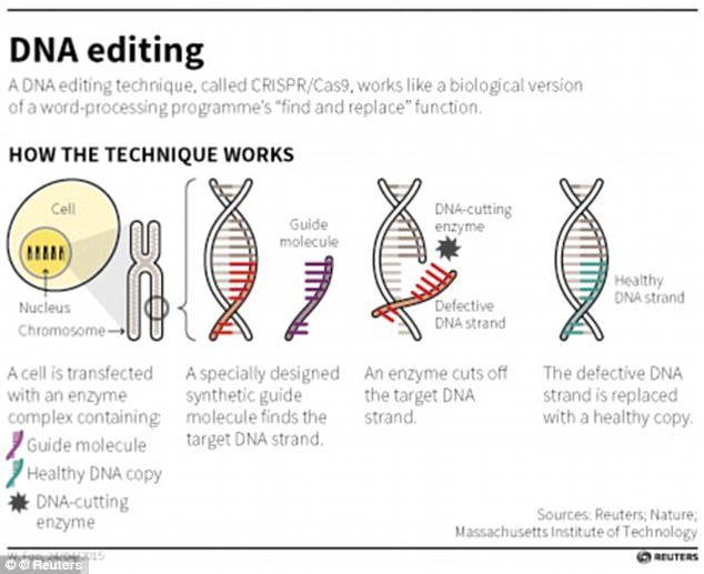 DNA editing crispr