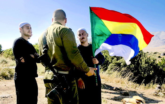 Druze and IDF