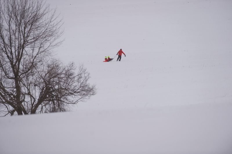 sledding
