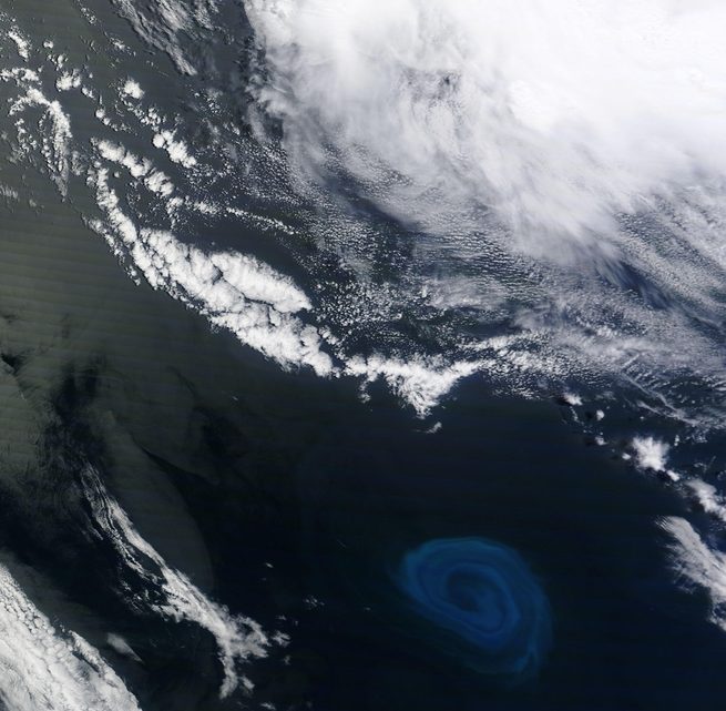 Click to enlarge Eddy near South Africa
