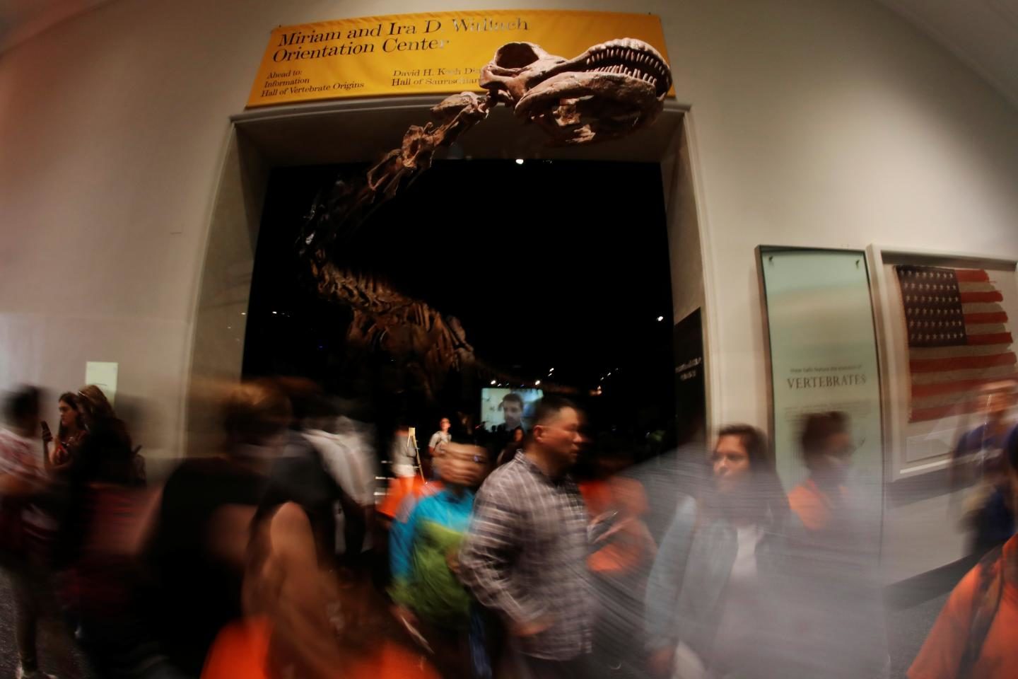 Patagotitan was named the Biggest Land Animal Ever Dinosaur