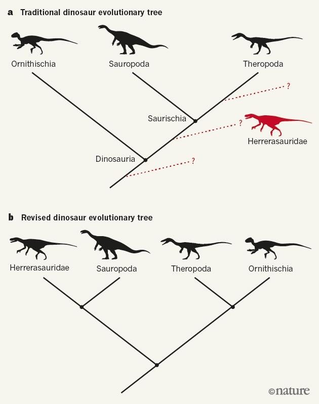 The old dinosaur family tree and the proposed re-write.