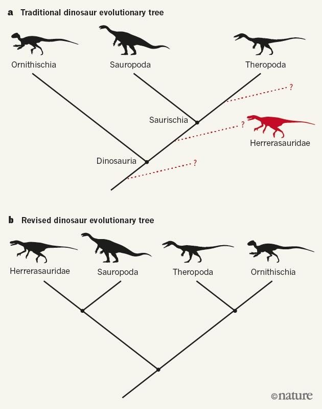 Click to enlarge The old dinosaur family tree and the proposed re-write.