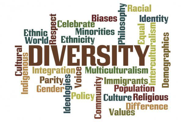 diversity cloud