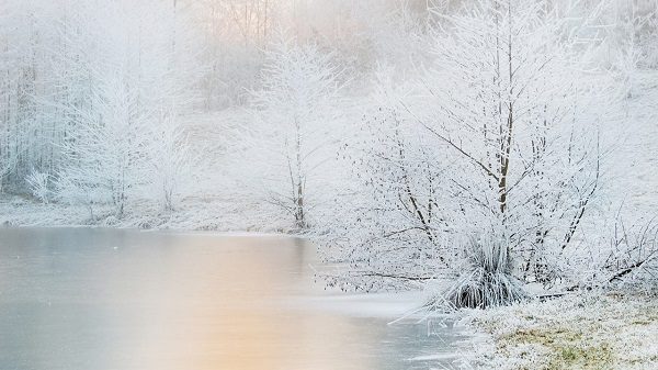 Icy pond