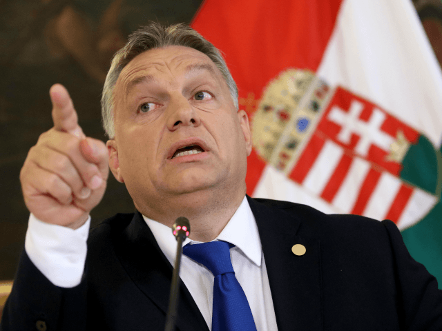 Click to enlarge orban